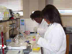 Students in lab