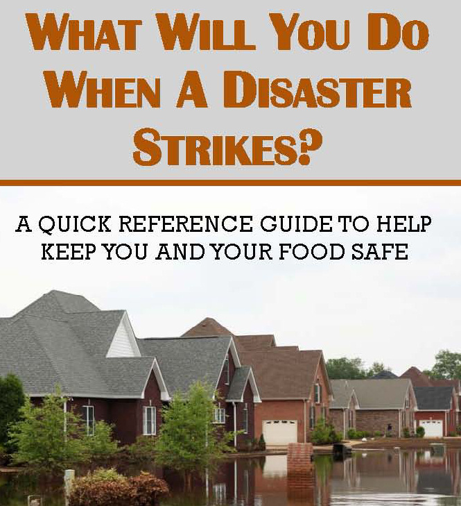 food safety for older adults pdf