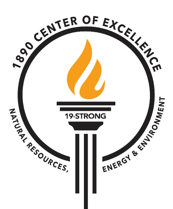 NREE Center logo