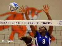 volleyball