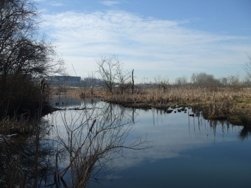 Stormwater Graphic Wetlands