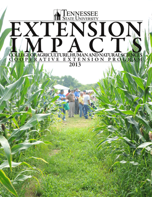 2013 Extension Impacts Cover