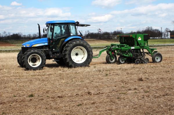 Dormant planting of switchgrass