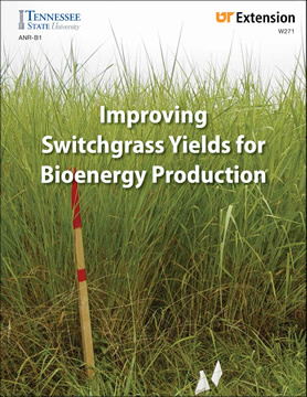 Improving Switchgrass Yields