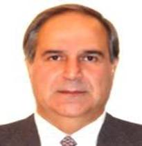 Hamizadeh