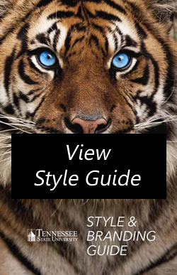 TSU Style & Branding Guide