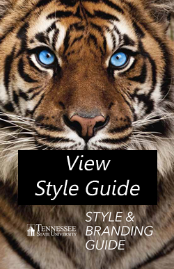 TSU Style & Branding Guide