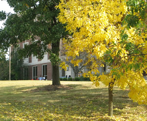 Students at the Humanities Building