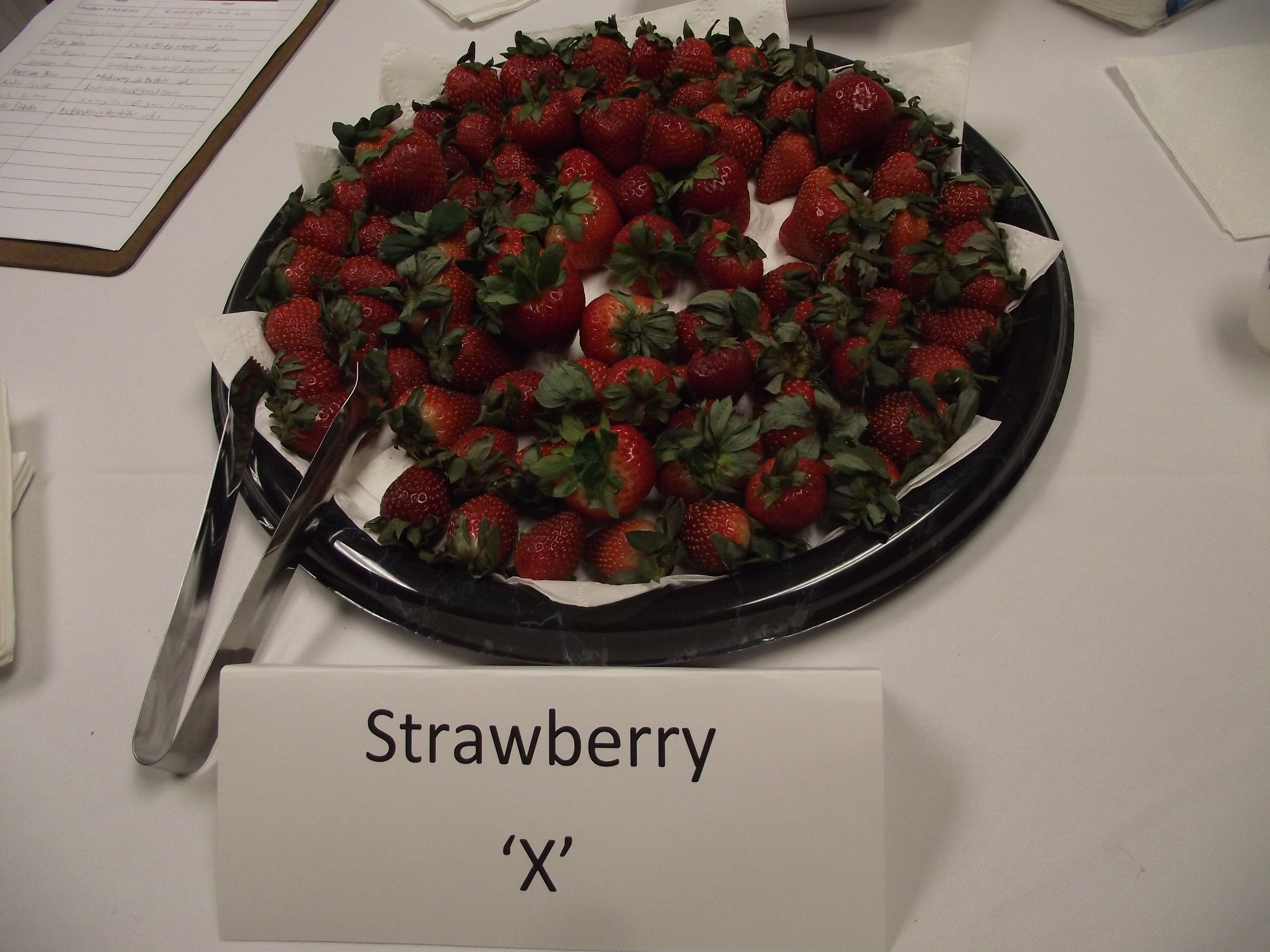 Strawberry X - Grocery Store Bought