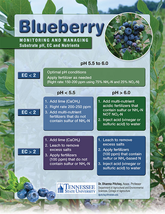 blueberry nutrient monitoring