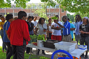 tsu plant class