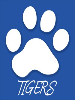 tiger