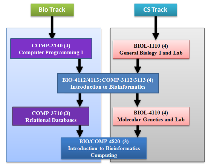 Bio Track