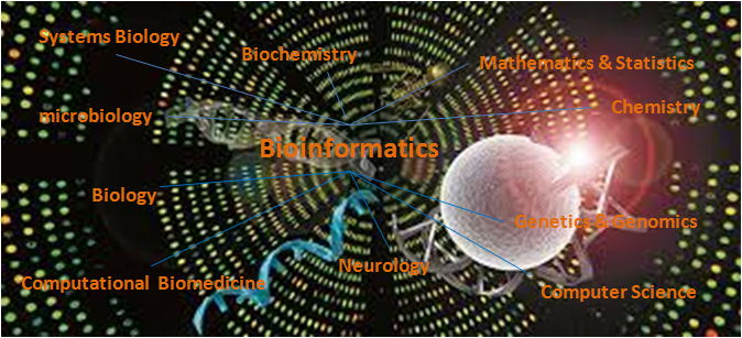 Bioinformatics