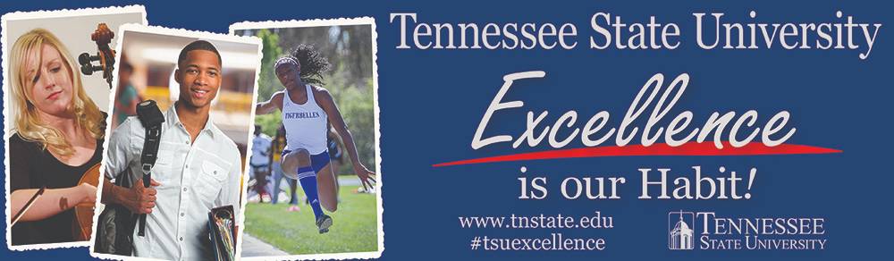 TSU Excellence Footer Photo