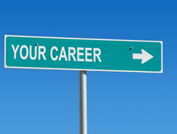 your career