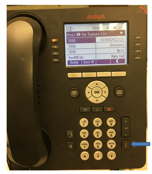 Avaya Phone Mute Button