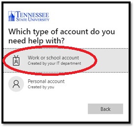 Work or School Account Option