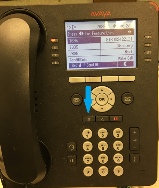 Avaya Phone Address Button