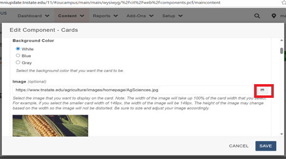 component radio button form element
