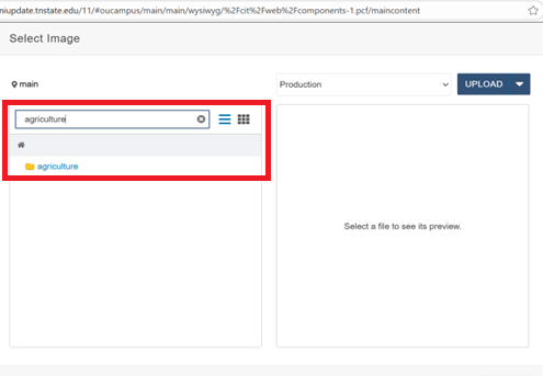 component type in directory name
