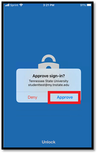 Approve Sign In Button on Phone