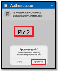 Approve Button in App