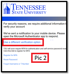 Use a different verification option link