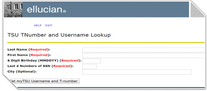 TSU TNumber lookup screen