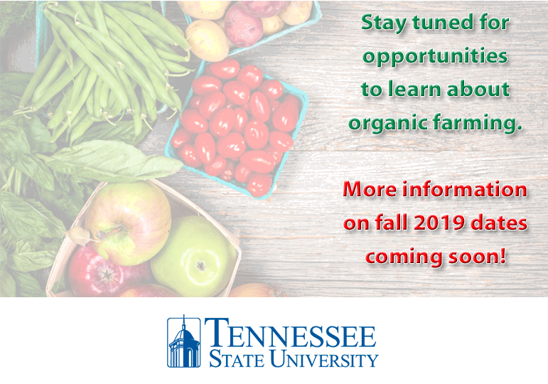 2019 Organic Course