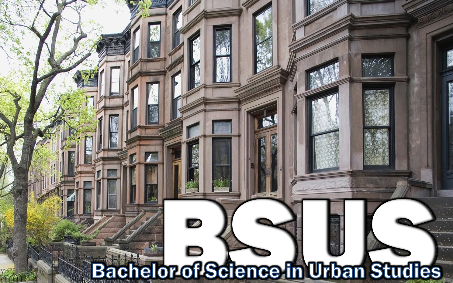 BSUS Graphic