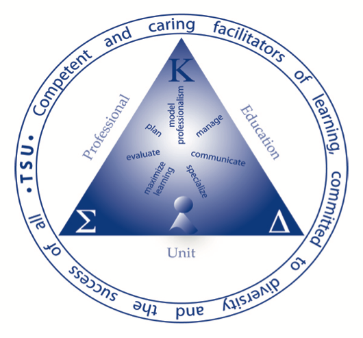 TSU Conceptual Underpinning 