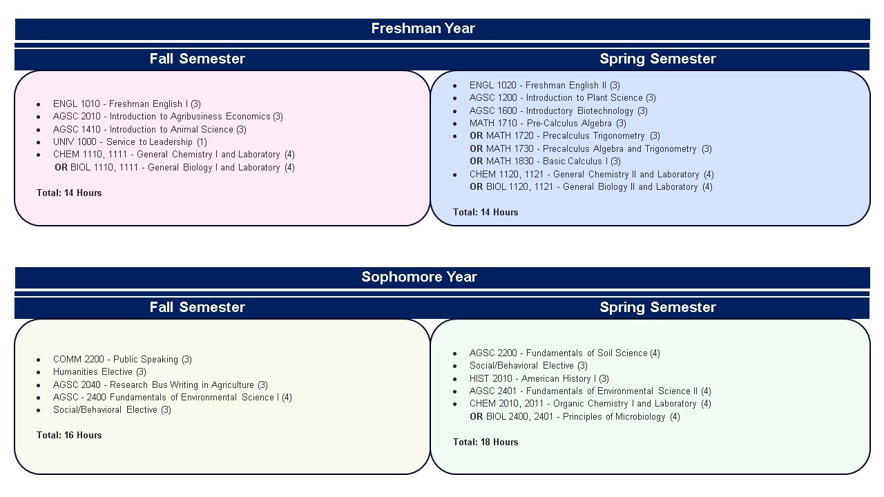 Curriculum year 1 and 2