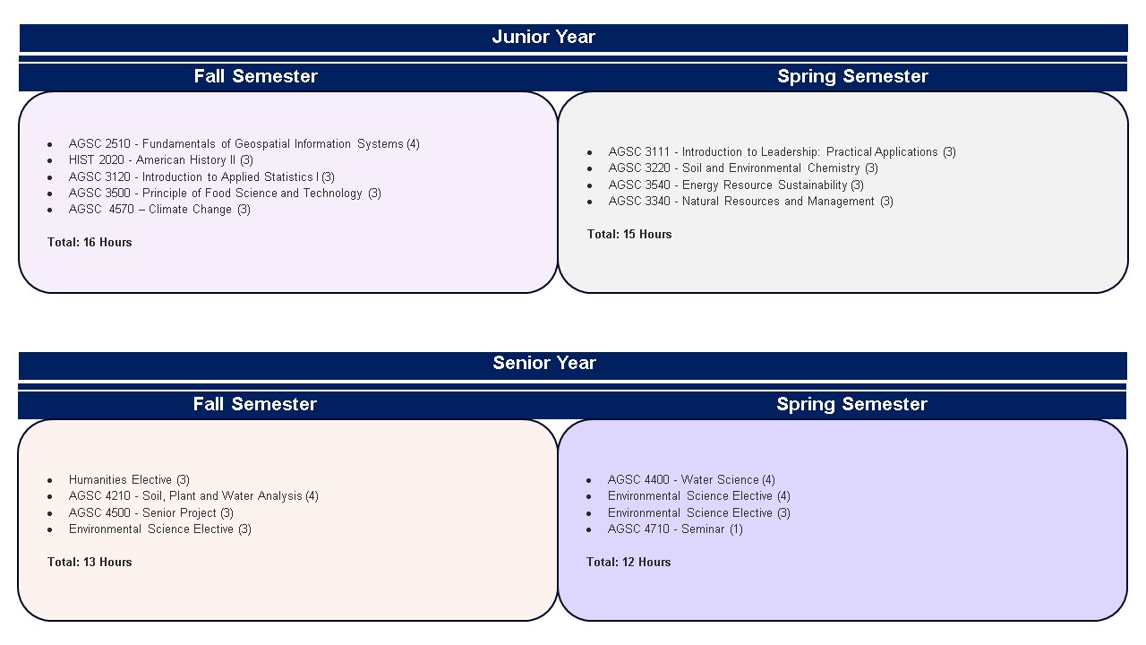 Curriculum Year 3 and 4