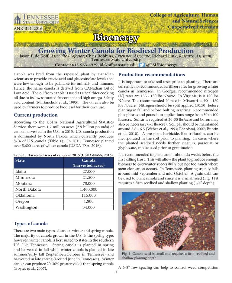 Canola fact sheet front page