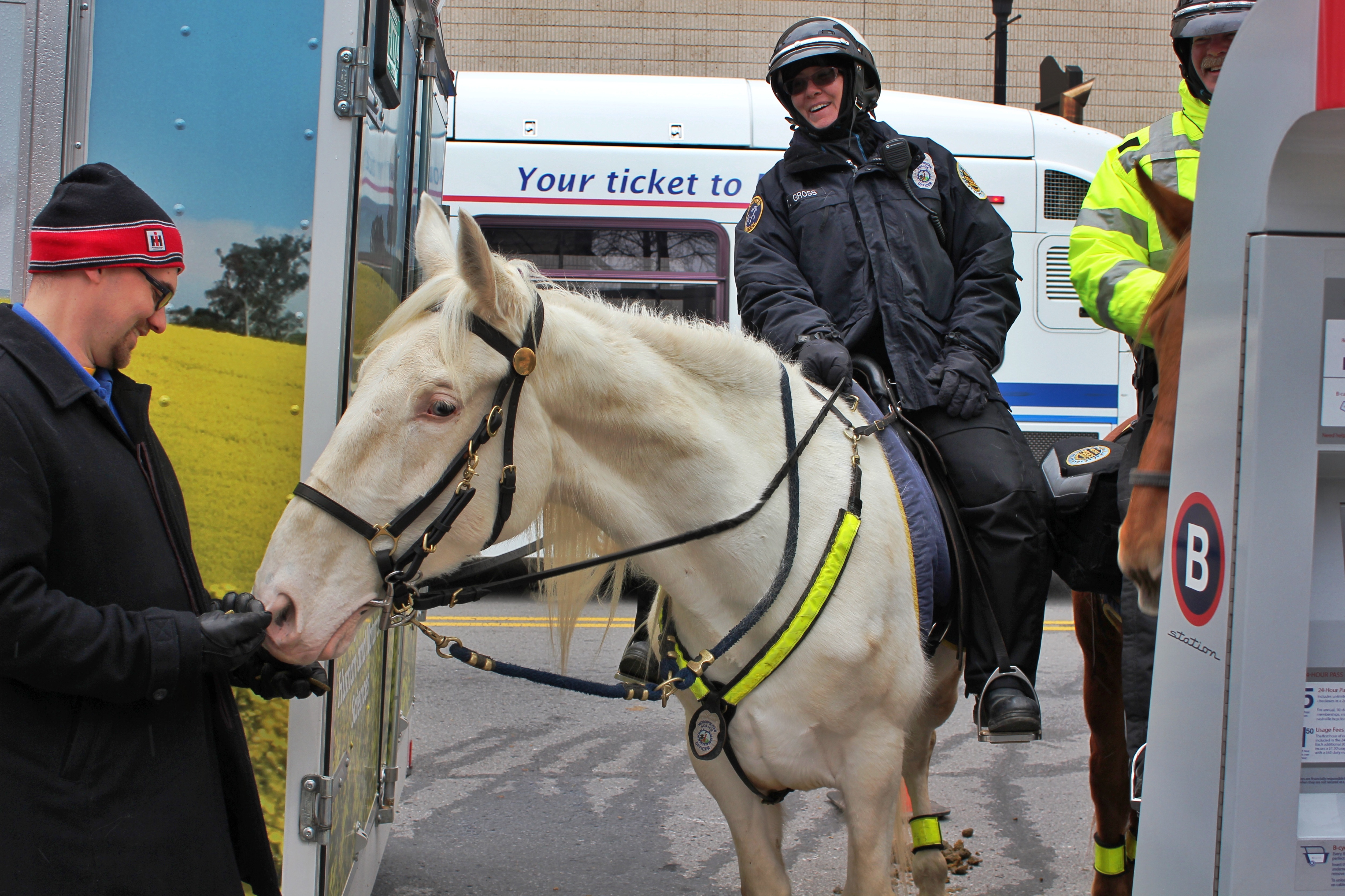 Ag Day on the Hill with horses