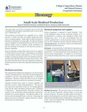 Biodiesel production