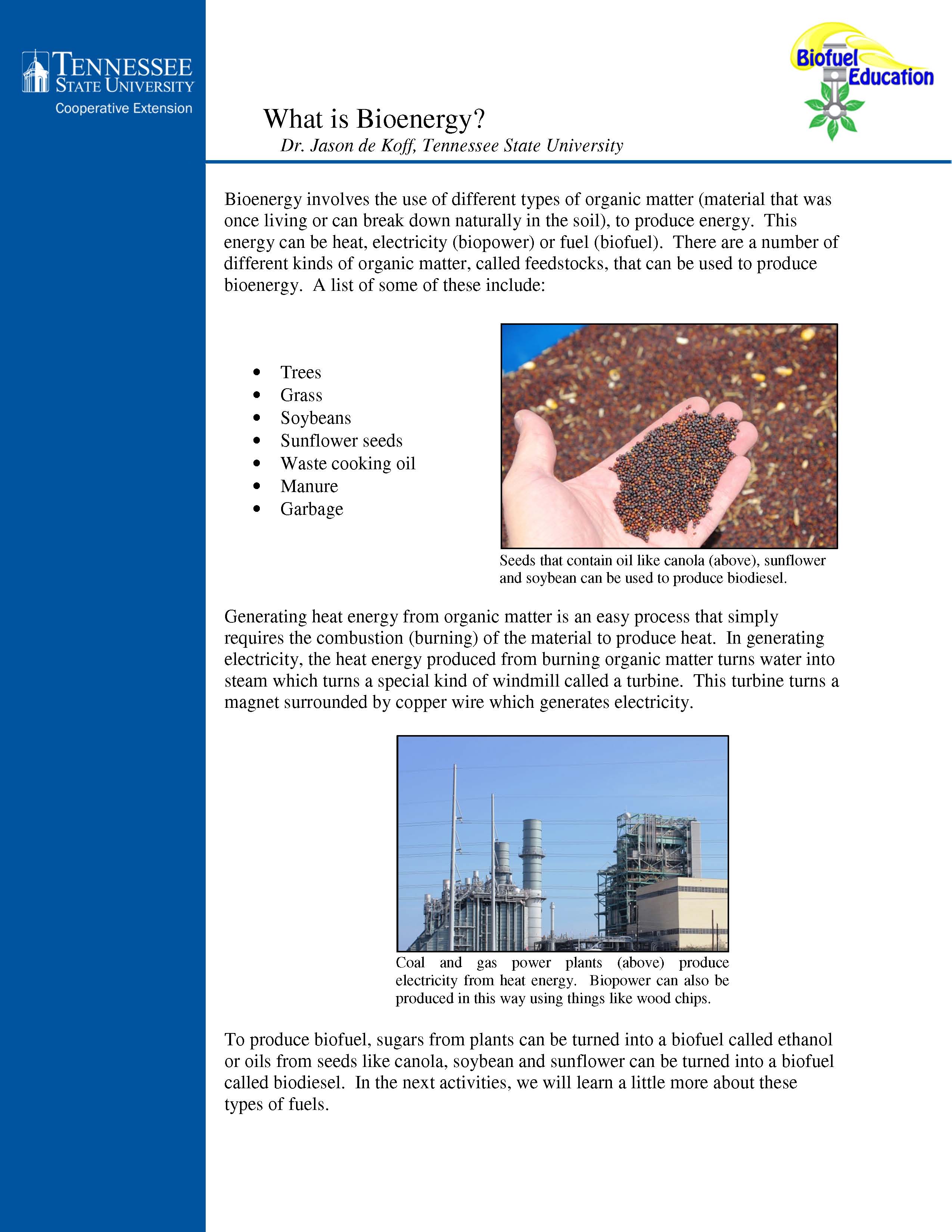 Bioenergy activity front cover