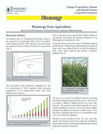Bioenergy from Agriculture