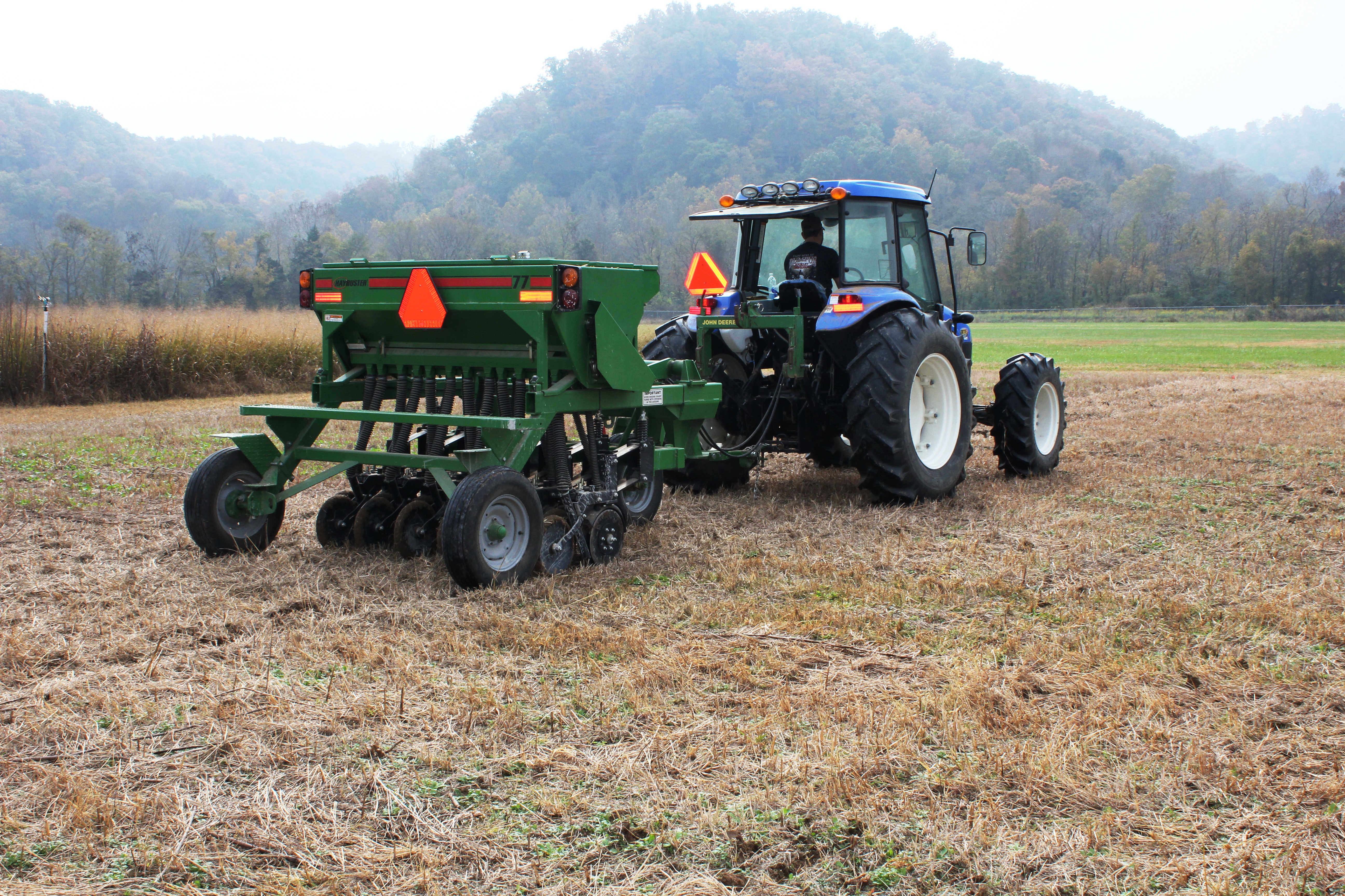 Canola planting