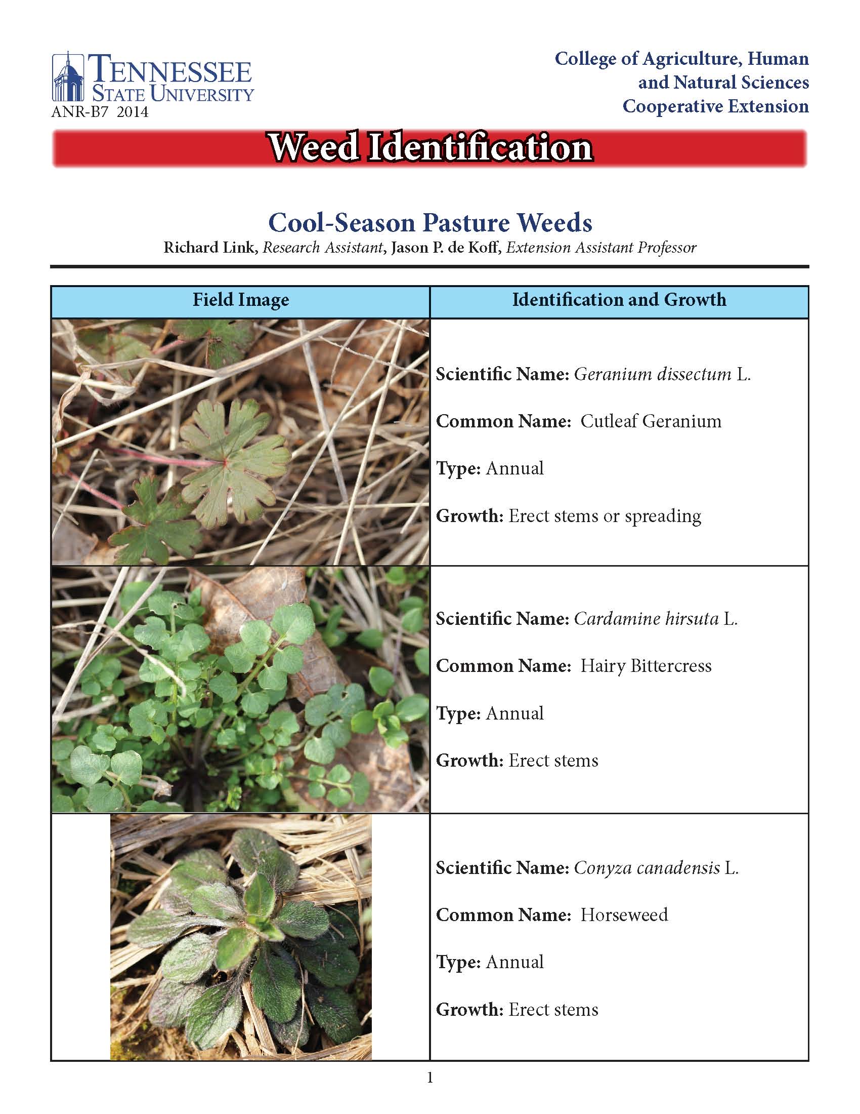 Cool-season weeds fact sheet