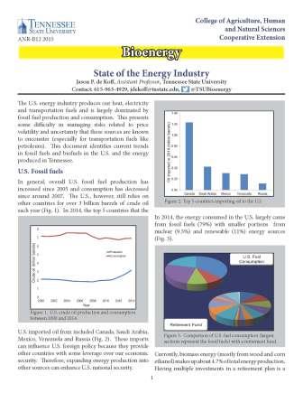 State of the Energy industry cover