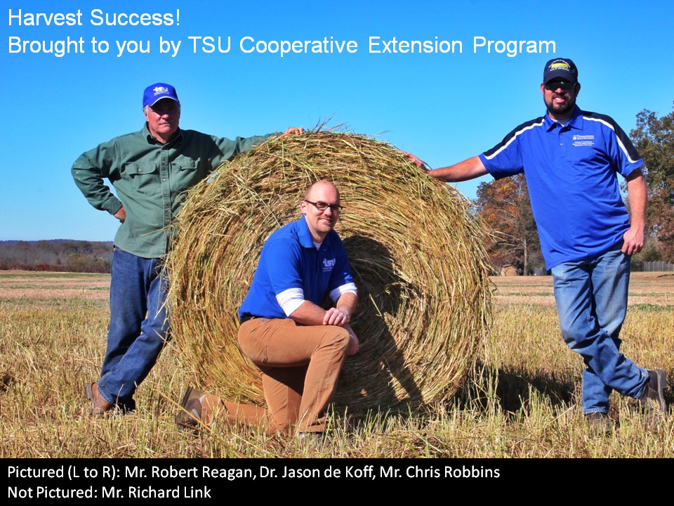 Harvest Success! at TSU research farm in Ashland City.