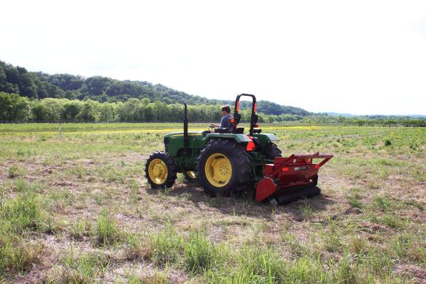 Applying fertilizer to switchgrass plot