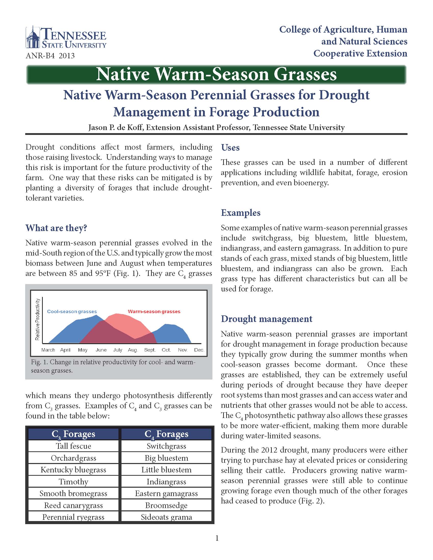 Native Warm-season grasses