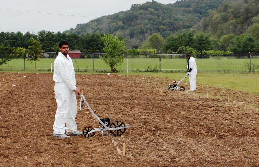 Planting oilseeds