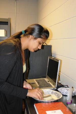 Graduate student preparing switchgrass samples for analysis