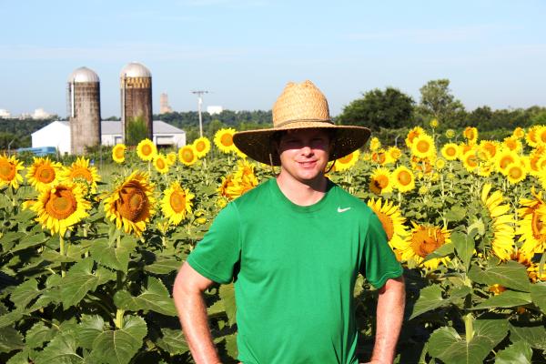 Richard Link and sunflowers