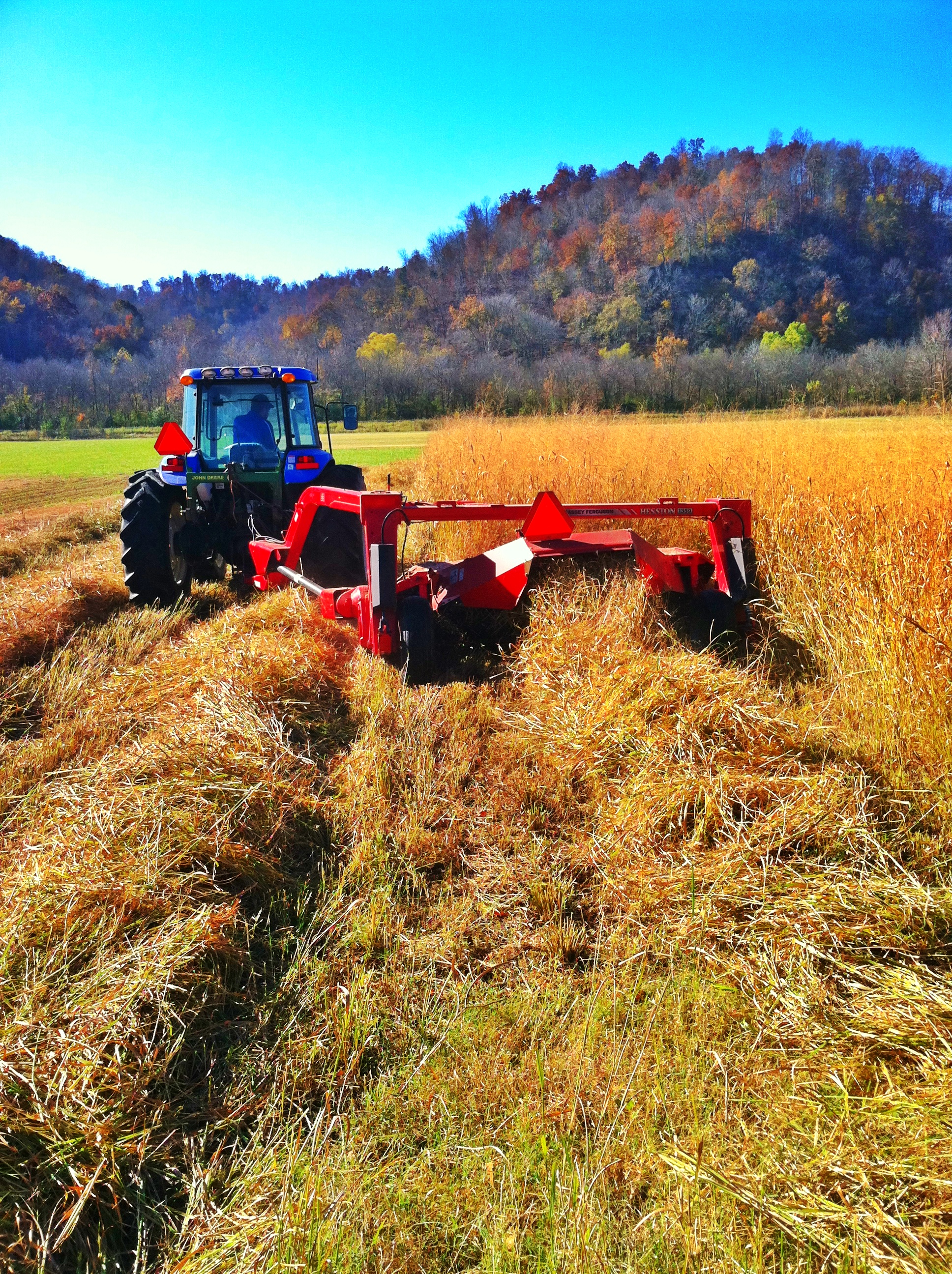 Switchgrass harvest at Cheatham Research farm