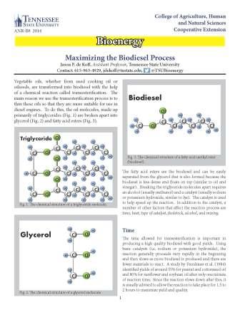 Maximizing the biodiesel process cover